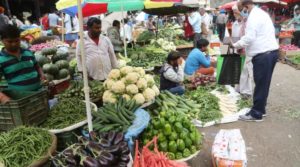 Vegetable Market