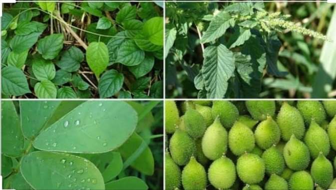 FB_IMG_1596987764849