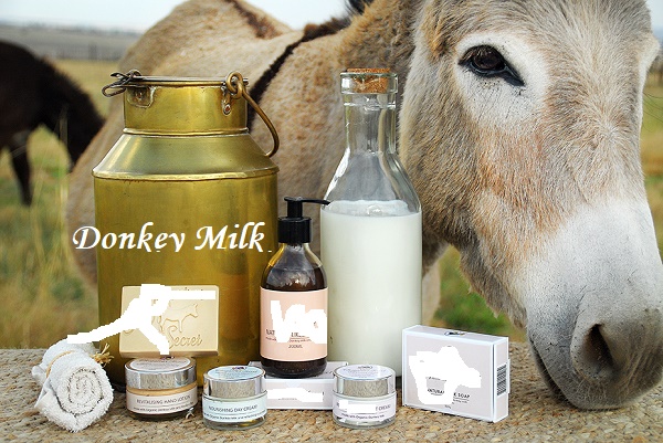 donkey Milk India