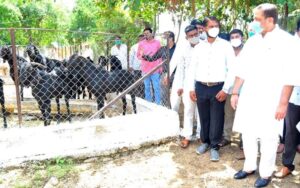 FB_IMG_1622823684346