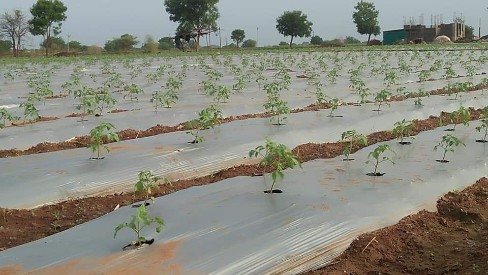 FB_IMG_1623781790413