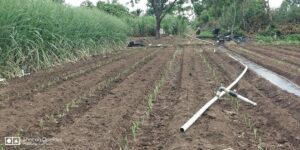 FB_IMG_1623570478611