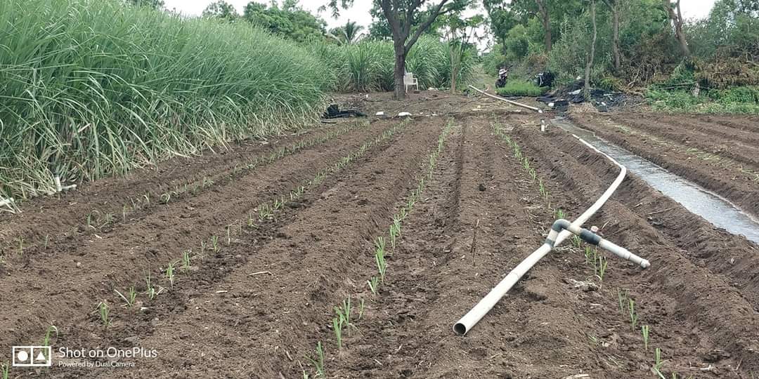 FB_IMG_1623570478611