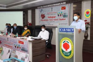 FB_IMG_1630053278868