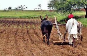 images - 2022-09-30T113312.249