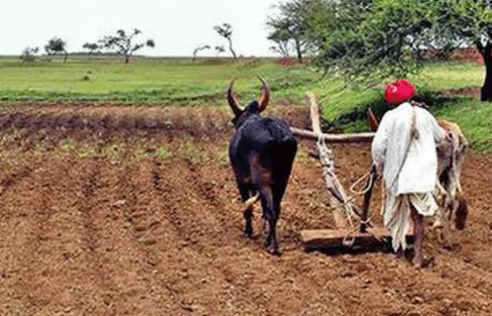 images - 2022-09-30T113312.249