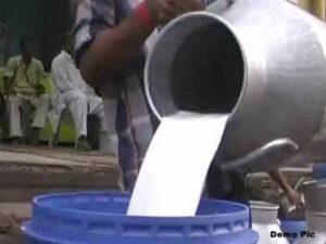 images - 2024-01-05T133252.054