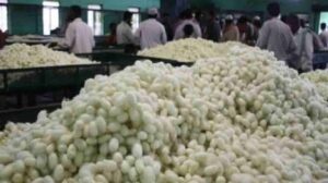 images - 2024-01-05T140909.950