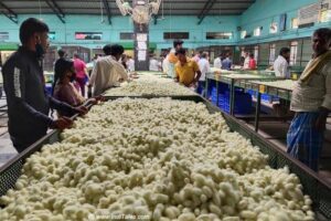 images - 2024-02-09T204817.194