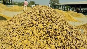 images - 2024-07-25T141151.783