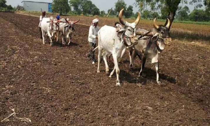 images - 2025-06-02T083957.503