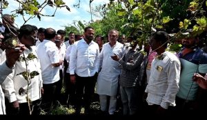 FB_IMG_1758867457967