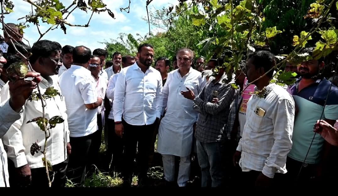 FB_IMG_1758867457967