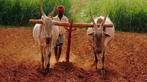 images - 2025-09-09T210231.648