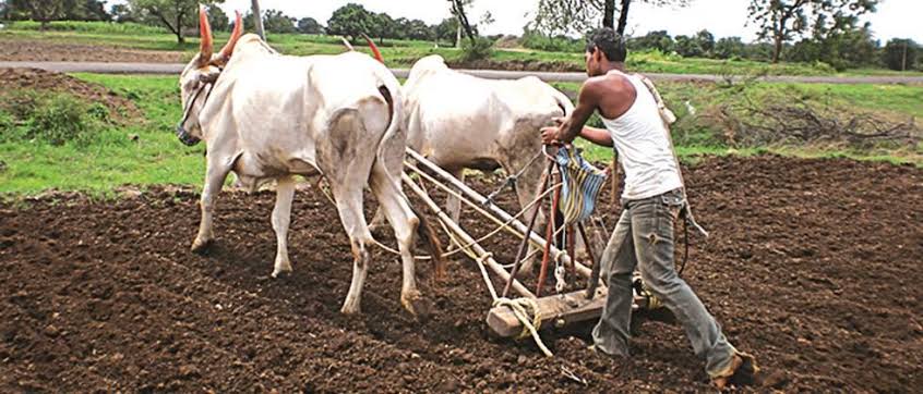 images - 2025-06-02T084005.008