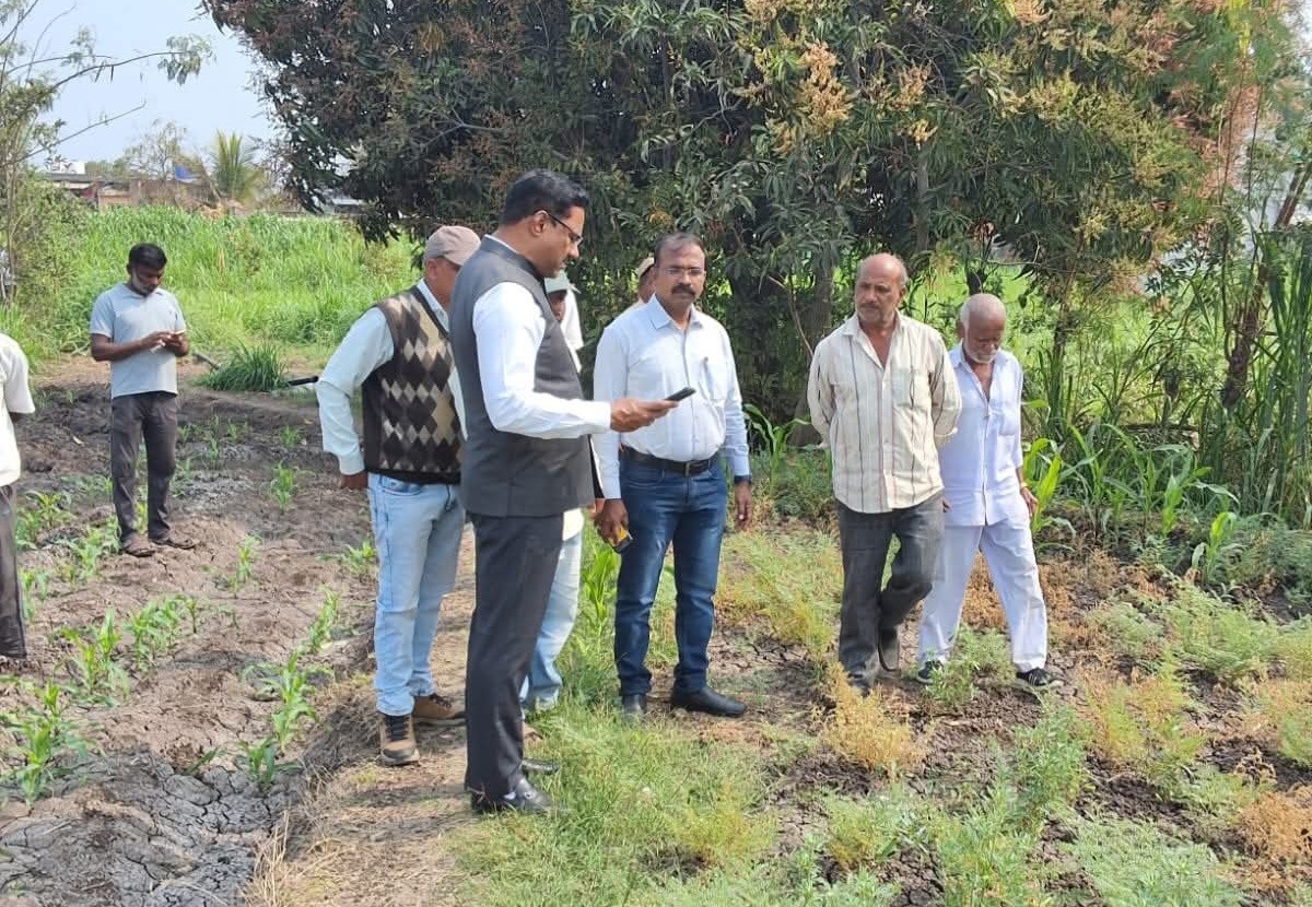 FB_IMG_1769017375762