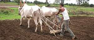 images - 2025-06-02T084005.008